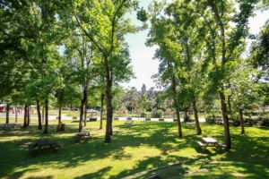 Nantes Camping - Théâtre de verdure