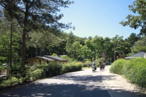 Nantes Camping - Quartier - Allées - Vélo