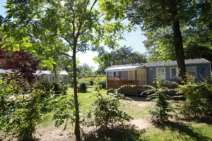 Nantes Camping - Hébergement - Cottage le Géant - Extérieur