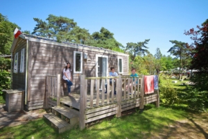 Cottage Petit Lu - Terraza