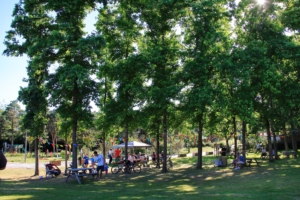 Nantes camping 5 étoiles - Animations estivales