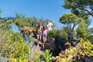 Les Machines de l'île - De boom met reigers