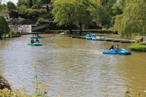 Parc des Naudières - Pédalos