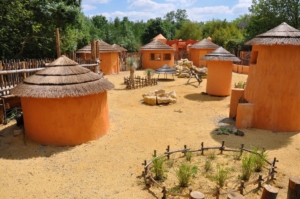 Planète Sauvage - pad door de bush