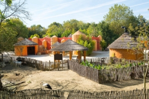 Planète Sauvage - pad door de bush