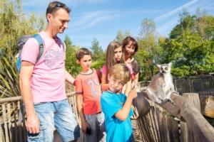 Planète Sauvage - Famille