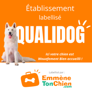 Qualidog